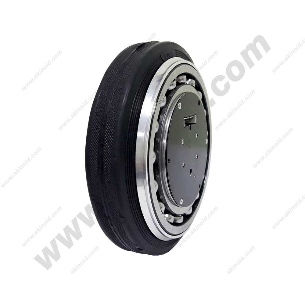 BRUSHLESS DC MOTOR ARM-4645OT1