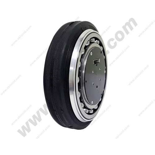 BRUSHLESS DC MOTOR ARM-4645OT1