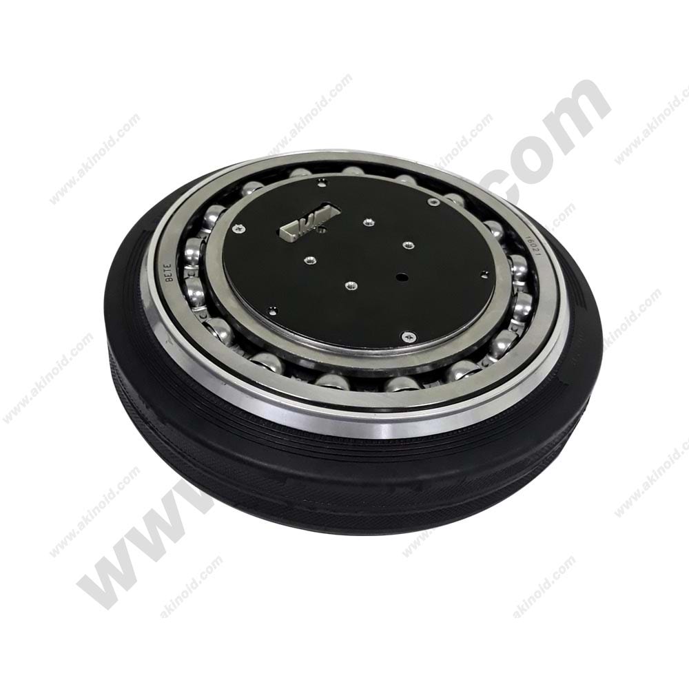 BRUSHLESS DC MOTOR ARM-4645OT1