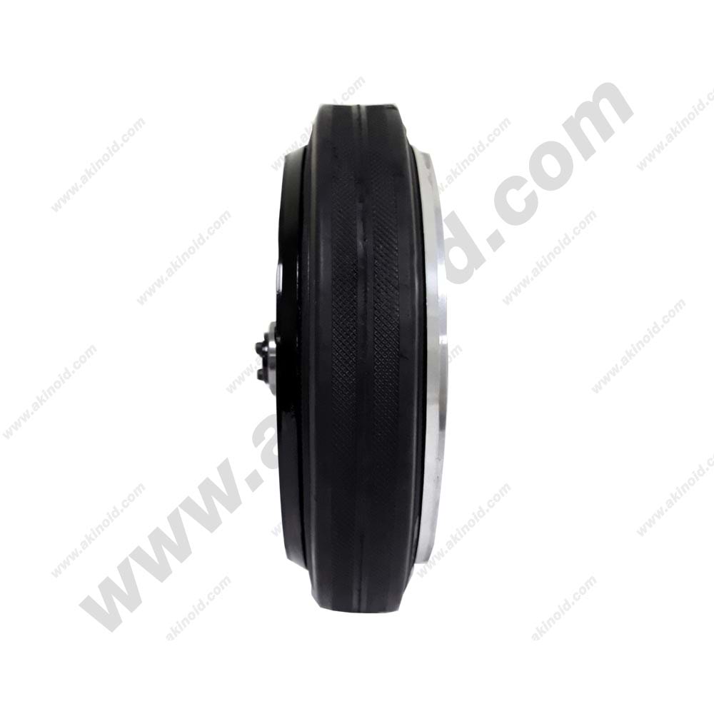 BRUSHLESS DC MOTOR ARM-4645OT1