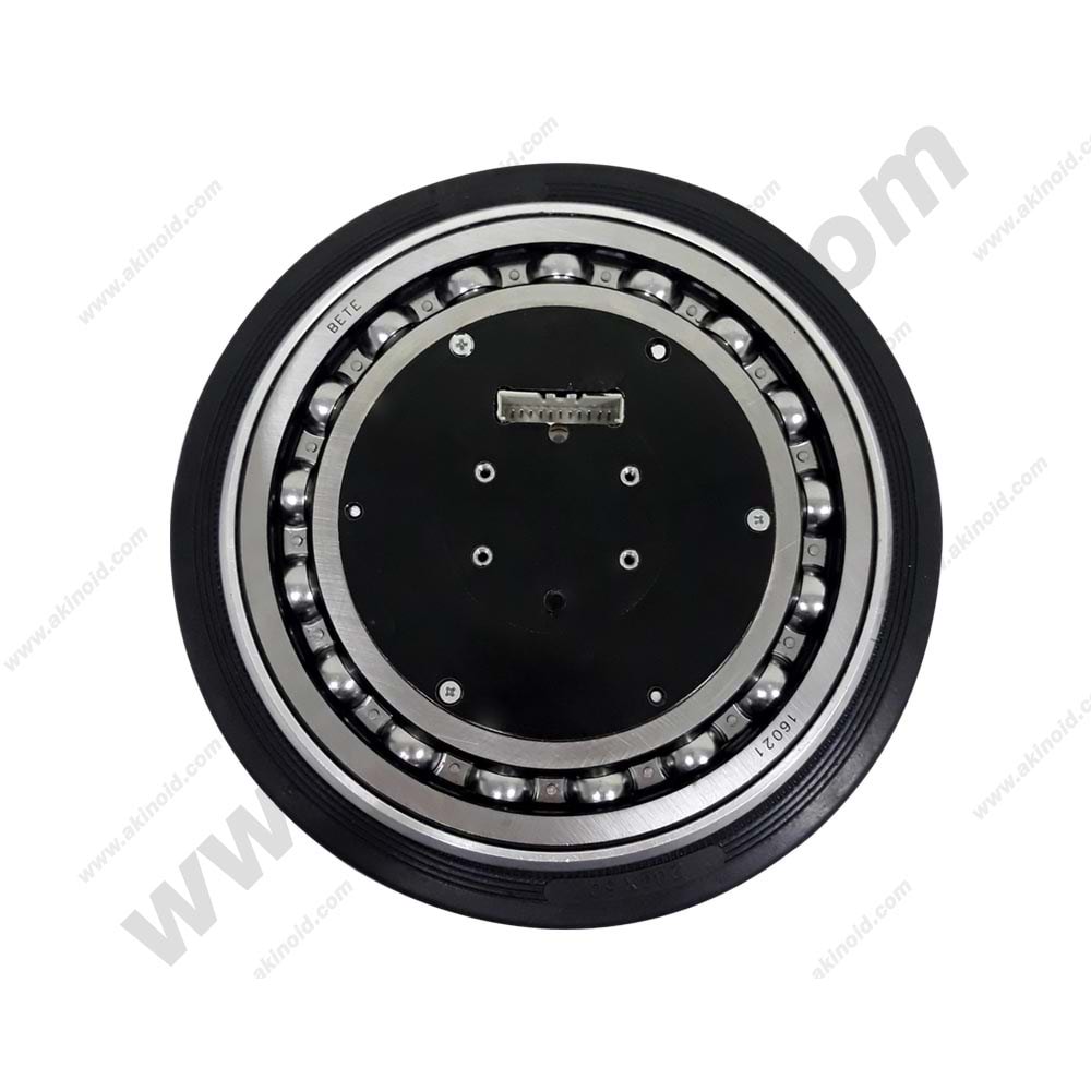 BRUSHLESS DC MOTOR ARM-4645OT1